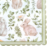 Decoupage Napkin - (DN-8194) - Spring Bunny - Cocktail - Set of 5