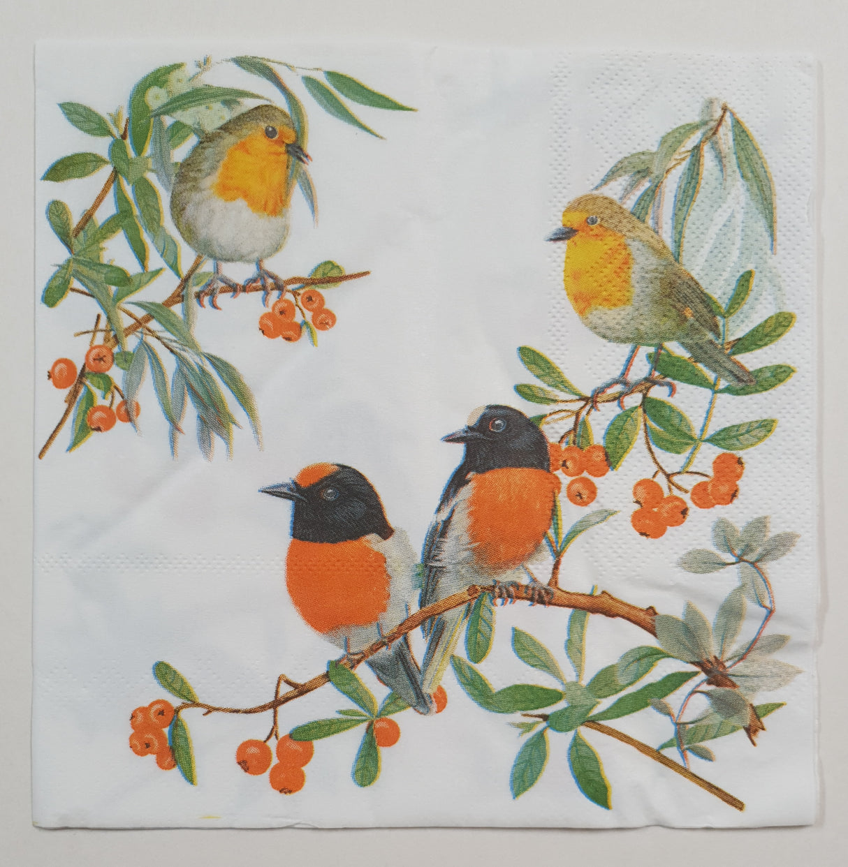 Decoupage Napkin - (DN-8910) - Birds
