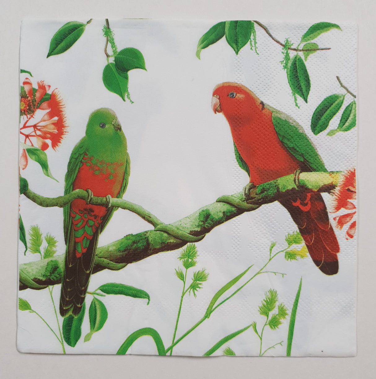 Decoupage Napkin - (DN-8912) - Birds