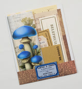 Mini Assorted Ephemera Pack - OA