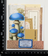 Mini Assorted Ephemera Pack - OA