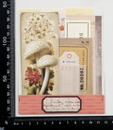 Mini Assorted Ephemera Pack - OF