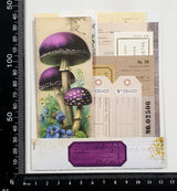 Mini Assorted Ephemera Pack - OK