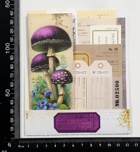Mini Assorted Ephemera Pack - OK