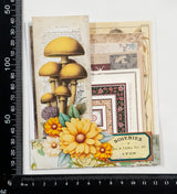 Mini Assorted Ephemera Pack - OU