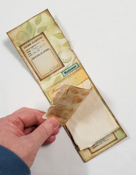 Mushroom Matchbook Notebook - OX