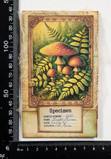 Mushroom Matchbook Notebook - OX
