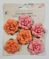 Paper Flowers -  Carol - Coral