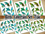 Birds Collection - Set Two - DI-10271 - Digital Download