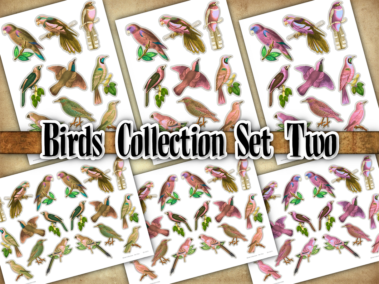 Birds Collection - Set Two - DI-10271 - Digital Download