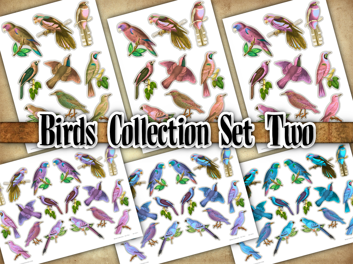 Birds Collection - Set Two - DI-10271 - Digital Download