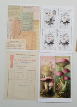 Whichcraft Prints Pack - HN