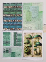 Whichcraft Prints Pack - HU