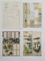 Whichcraft Prints Pack - RT