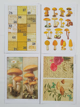 Whichcraft Prints Pack - SX