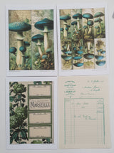 Whichcraft Prints Pack - UO