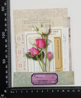 Mini Assorted Ephemera Pack - SA