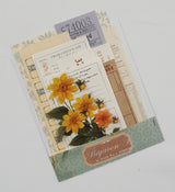 Mini Assorted Ephemera Pack - SE