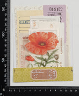 Mini Assorted Ephemera Pack - SF