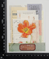 Mini Assorted Ephemera Pack - SG