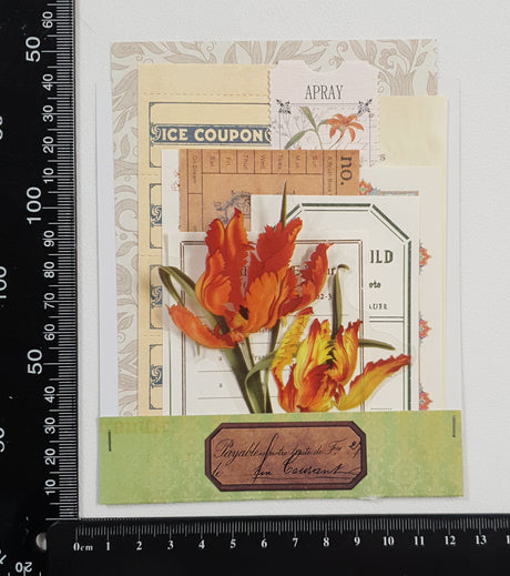 Mini Assorted Ephemera Pack - SN