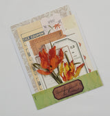 Mini Assorted Ephemera Pack - SN
