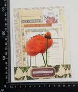 Mini Assorted Ephemera Pack - SO