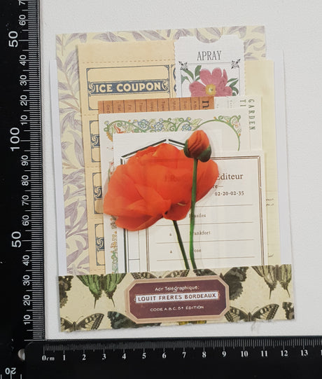 Mini Assorted Ephemera Pack - SO