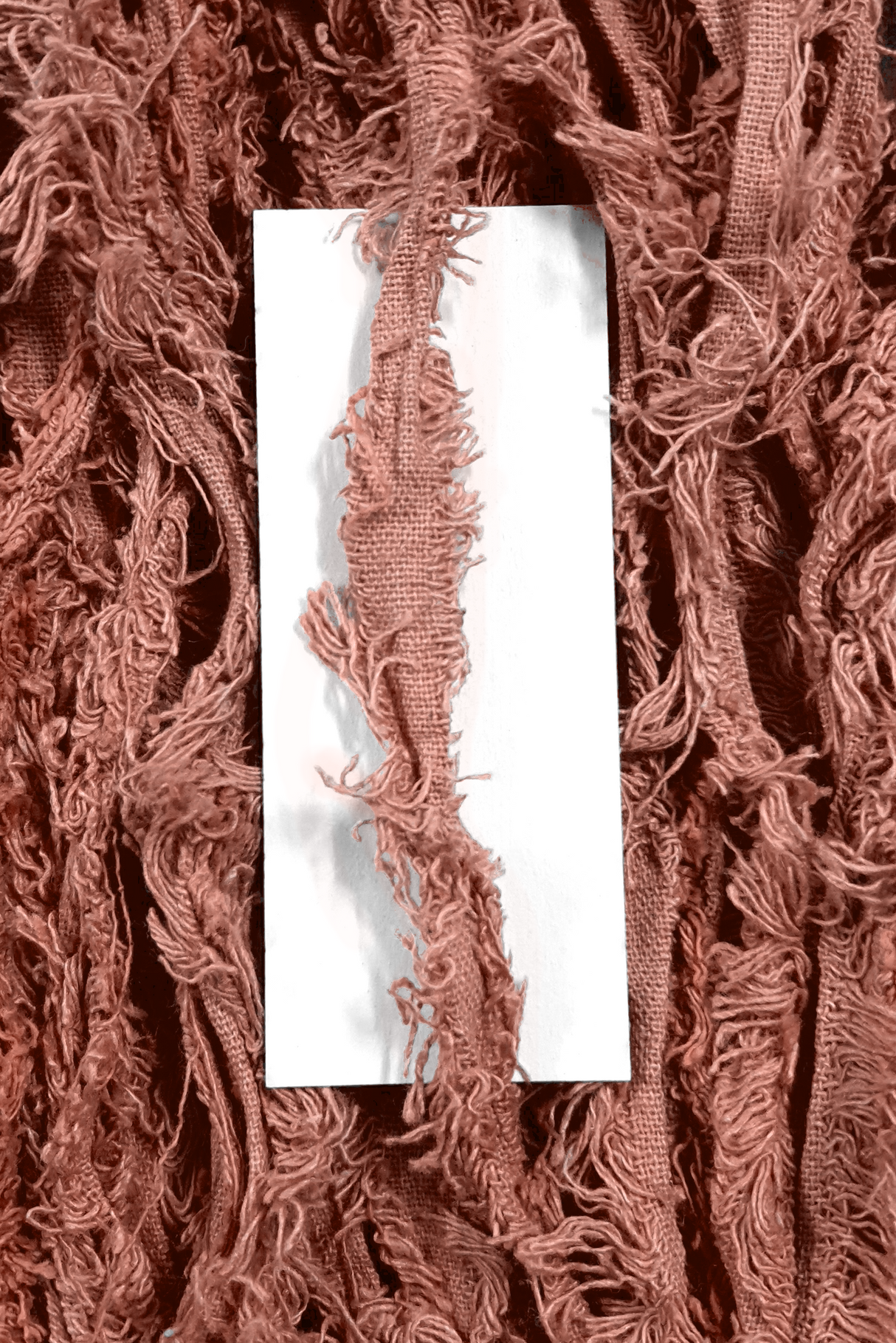 Cotton Frizz Ribbon - Salmon - 2m Pack