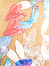Destash – Butterfly & Decorative Wing Stickers – MN