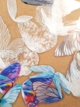 Destash – Butterfly & Decorative Wing Stickers – MN