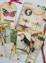 Motherloads Collection of Goodies - TB