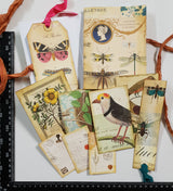 Motherloads Collection of Goodies - TB