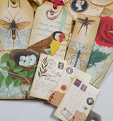 Motherloads Collection of Goodies - TC