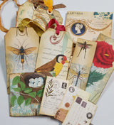 Motherloads Collection of Goodies - TC