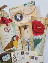 Motherloads Collection of Goodies - TC