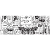 Tim Holtz - idea-ology - Collage Paper - Entomology