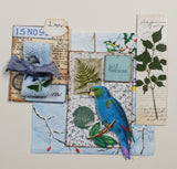 Inspiration Pack - TN