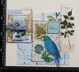 Inspiration Pack - TN