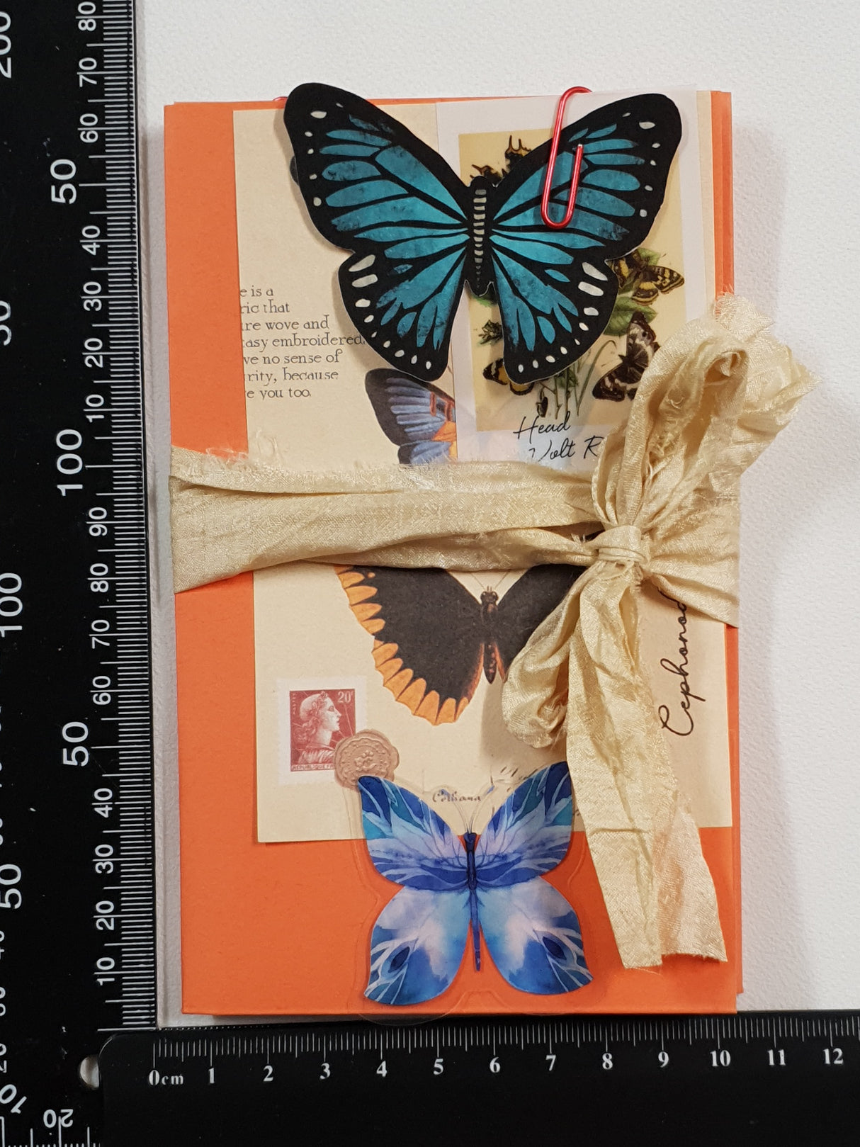 Motherloads Butterfly Ephemera Pack - TS