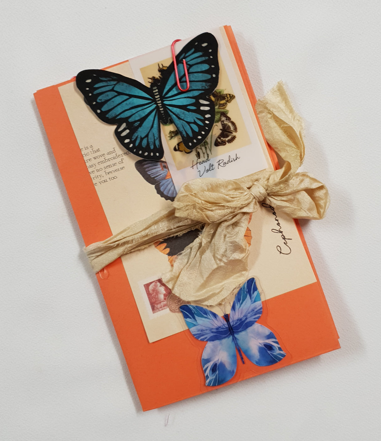 Motherloads Butterfly Ephemera Pack - TS