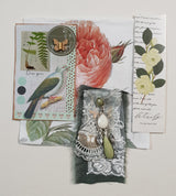 Inspiration Pack - TY