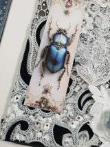 Deluxe Textile Pack - KQ