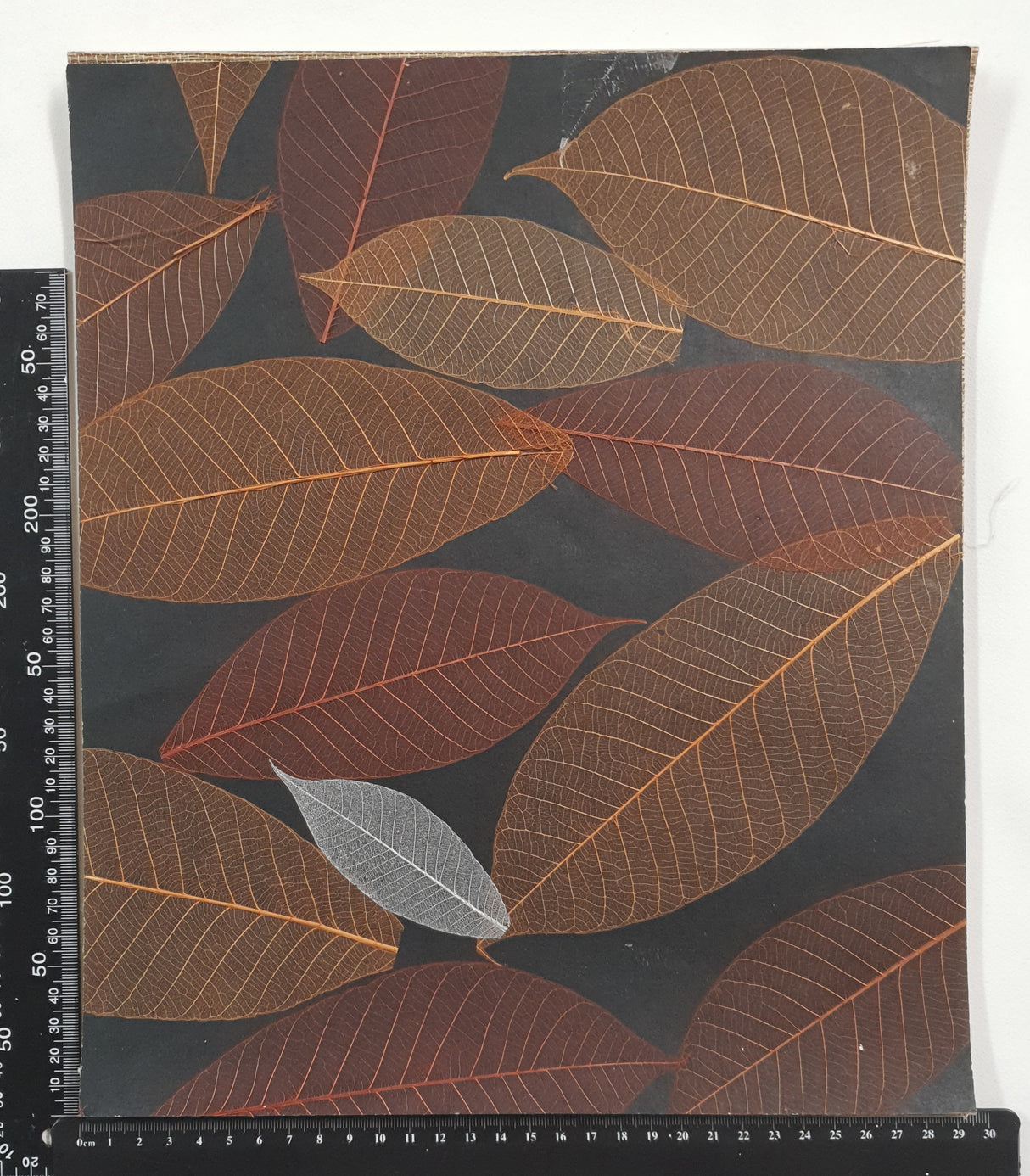 Assorted Wallpaper Pack - ZD