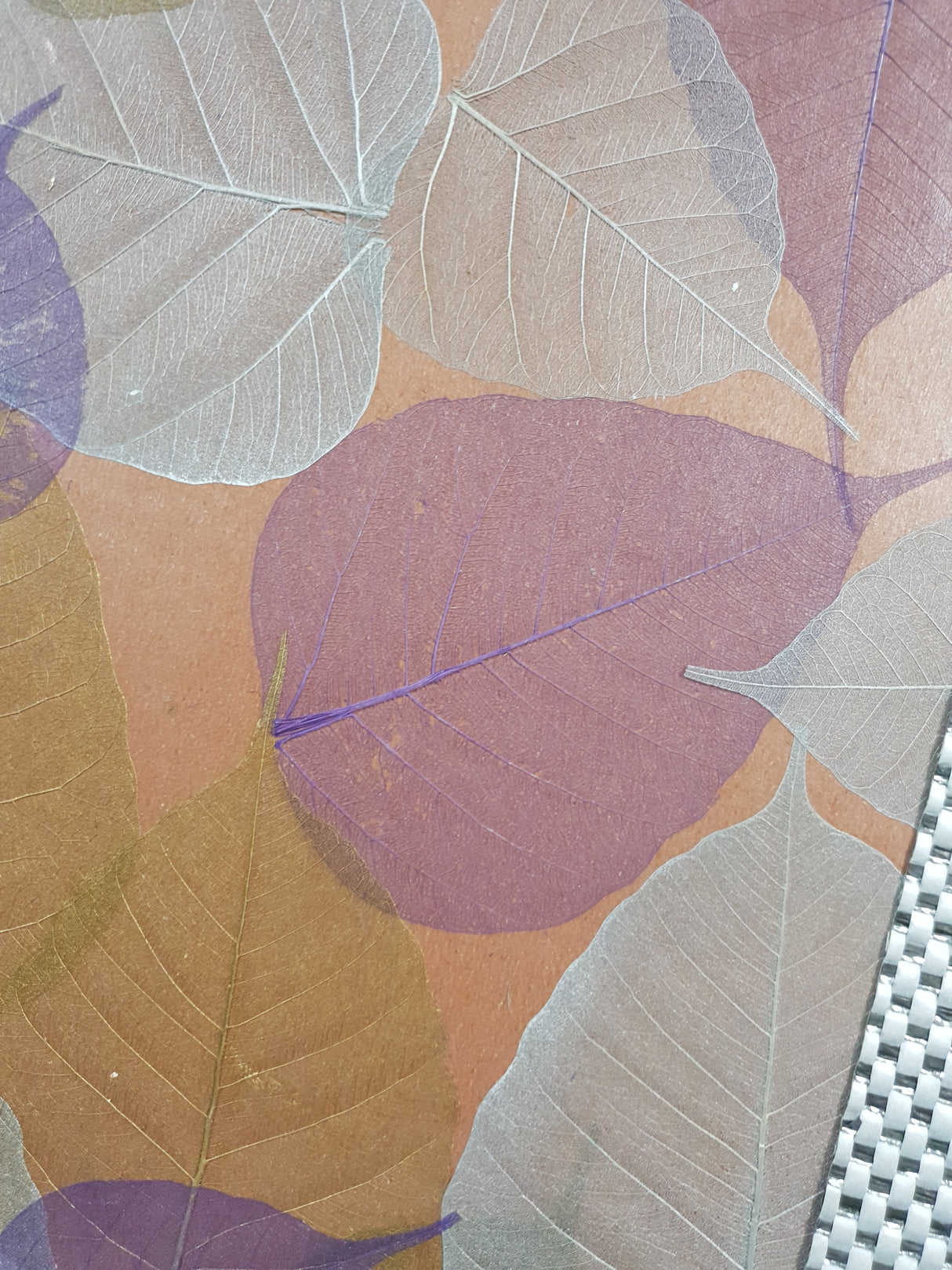 Assorted Wallpaper Pack - ZE