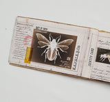 Handmade Entomology Booklet - UB
