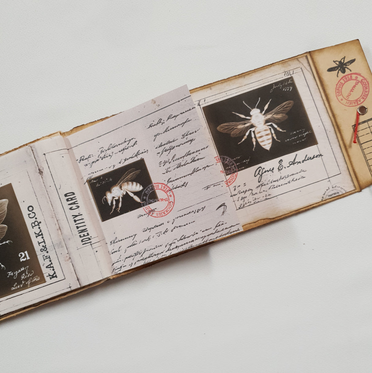 Handmade Entomology Booklet - UB