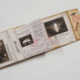 Handmade Entomology Booklet - UB