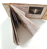 Handmade Entomology Booklet - UB