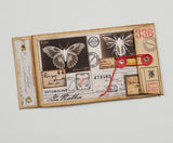 Handmade Entomology Booklet - UB